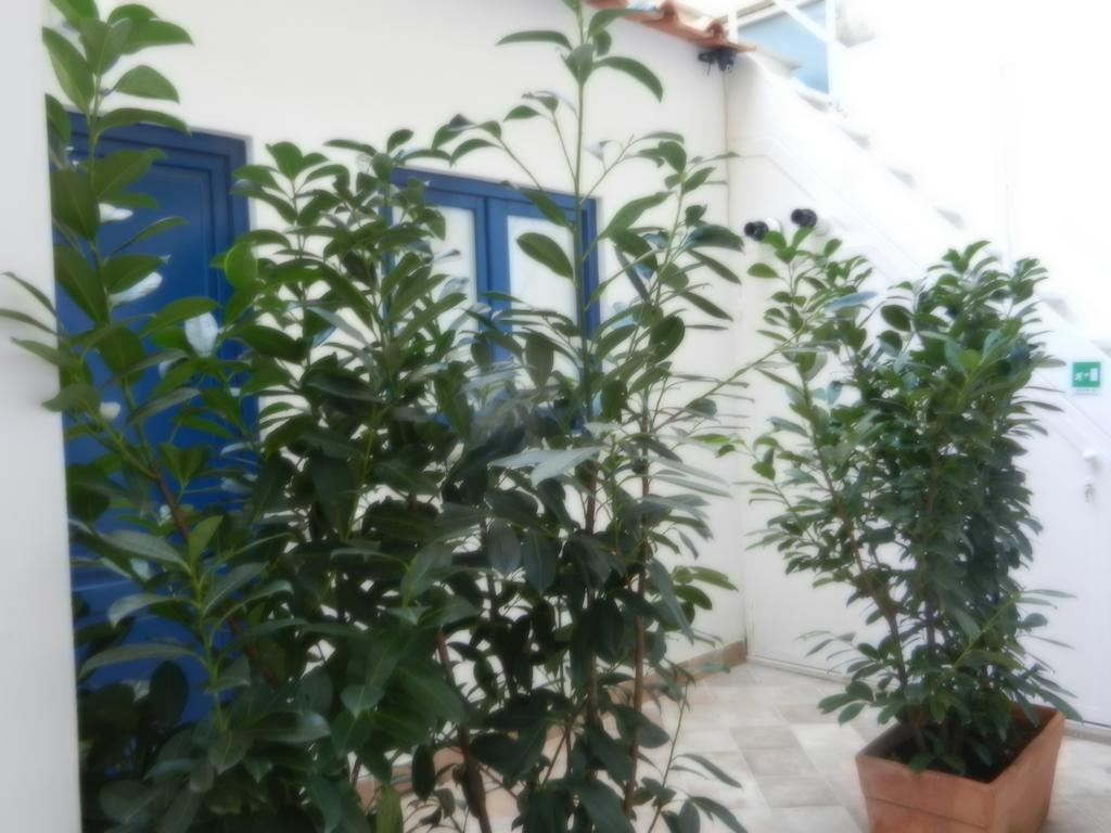 My Sorrente